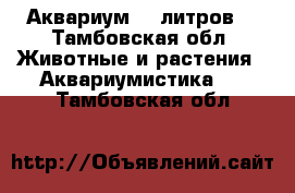 Аквариум 40 литров. - Тамбовская обл. Животные и растения » Аквариумистика   . Тамбовская обл.